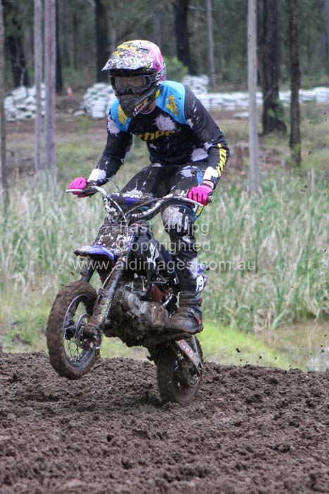 445x677 pixels (72K)